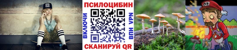 Галлюциногенные грибы Psilocybine cubensis  наркота  Пласт 